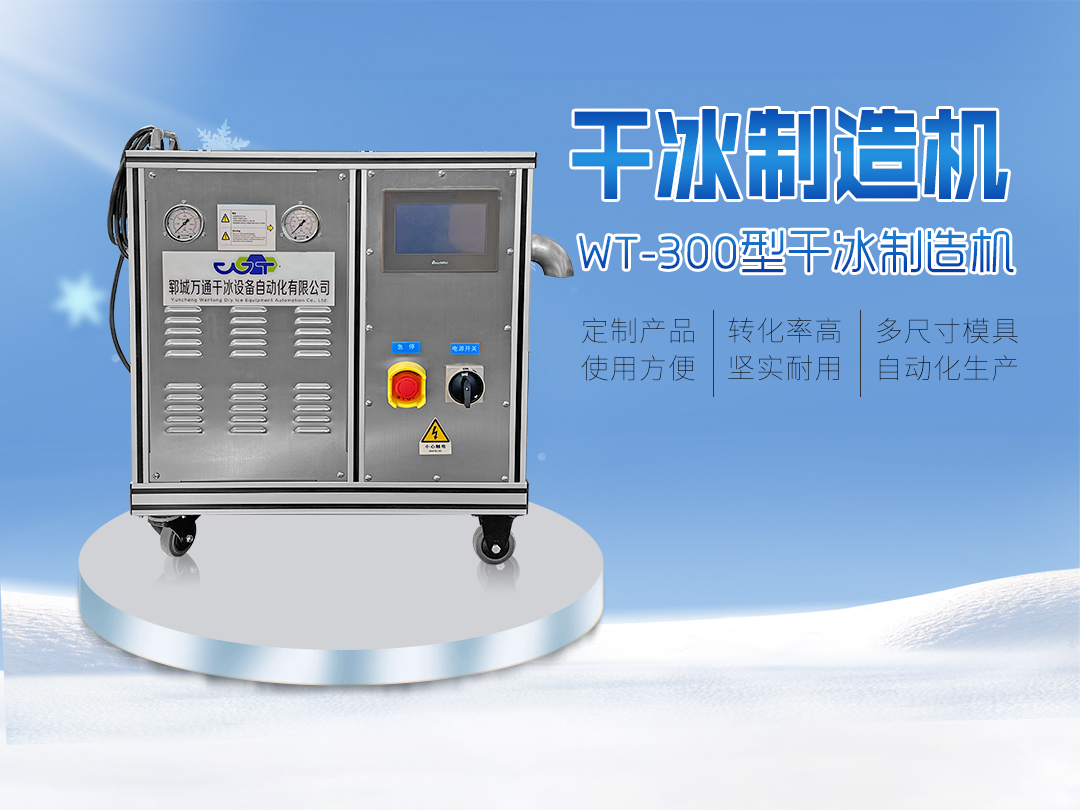 WT-300型干全自動冰顆粒機(jī)
